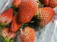 -鲜丰水果(仙霞路店)