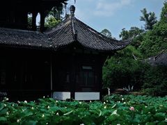 -老桂湖公园-杨升庵博物馆