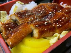 鳗鱼饭-九井澤精致料理(金茂店)