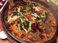 -老板恋上鱼(环山路店)