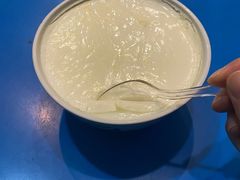 -德禄酸奶(莫家街店)