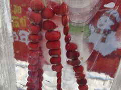 -盛京大奥莱(沈阳奥体店)