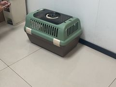 -艾贝尔宠物医院 ·中兽医·宠保定点(北门桥店)