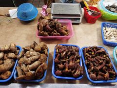 -五里多农博广场