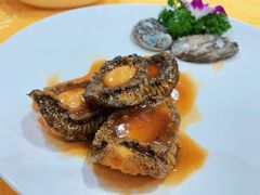 鲍鱼-蚝专家(北滘店)