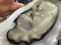 阳江炊蚝-大富蚝乌东哥饭店·石锅鱼杂·柠檬鸭(革新路店)
