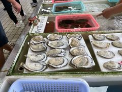 -南沙十九涌渔人码头-南门