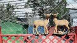 -萌宠亲子动物乐园(槐房万达店)