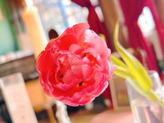 -花·fleur古董西餐厅(西城夜未央店)