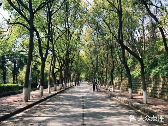 重庆文理学院(星湖校区)校门图片