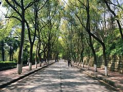 校门-重庆文理学院(星湖校区)