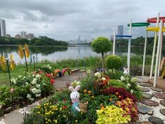 -南宁南湖公园