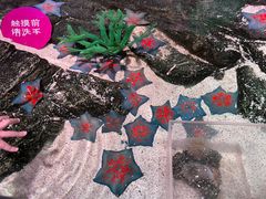 -沈阳海洋探索中心