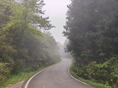 -武陵山森林公园