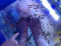 -汤连得温泉馆(宝山店)