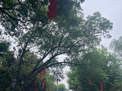 -蒋氏故居