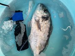 -zoonana室内动物园(东方福来德店)