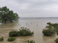 -宝安西湾红树林湿地公园
