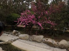 -东方华地城湿地温泉度假区