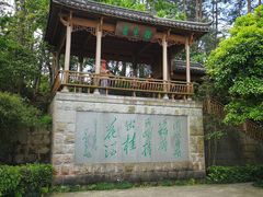 -千岛湖东南湖区