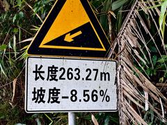 -海南热带雨林国家公园吊罗山景区