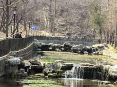 -白水寺森林公园