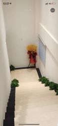 点击看大图 -Dr.林醫生产后修复·配方产康店(南京大厂店)