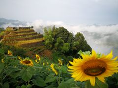 -石潭村
