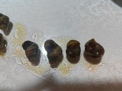 -呼吸森林·生态农庄农家乐私房菜