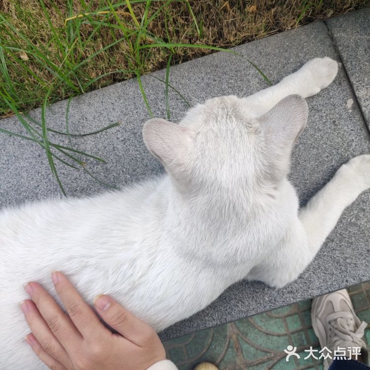 你见过彩虹宿舍楼吗??