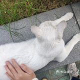 你见过彩虹宿舍楼吗？？