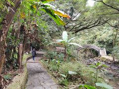 -广州市石门国家森林公园