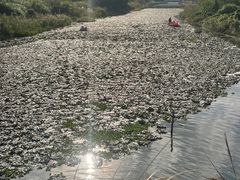 -三垟湿地