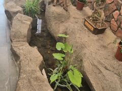 -滕头生态酒店(奉化店)
