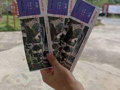 -老木棉·匠园