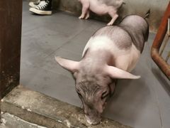 -三肥两瘦烤肉(鹿城店)