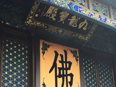 -普陀山风景名胜区-法雨禅寺