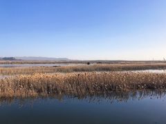 -乌梁素海景区
