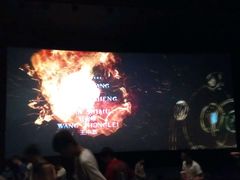 -万达影城(锦华万达广场IMAX店)