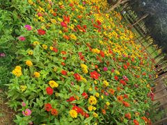 -武汉紫薇都市田园