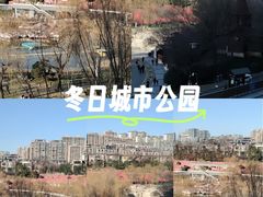 -西安曲江寒窑遗址公园