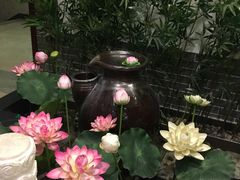 -扬州三韵足道会馆(中银店)