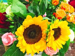 -上海市中医医院(芷江路院区)