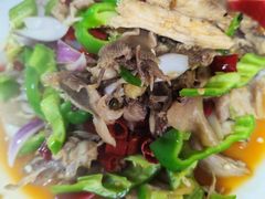 -煲来饱去冷水鱼