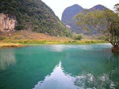 -靖西鹅泉风景区