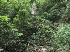 -雁荡山三折瀑景区