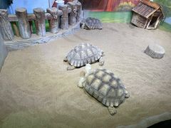 -华夏文旅海洋公园