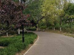 -永定河休闲森林公园