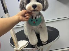 -汪小喵宠物·戴维斯乐芳希施宠馨宝皮毛调理洗护店