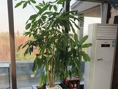 -忆咖啡观景餐厅(桂林象山公园店)